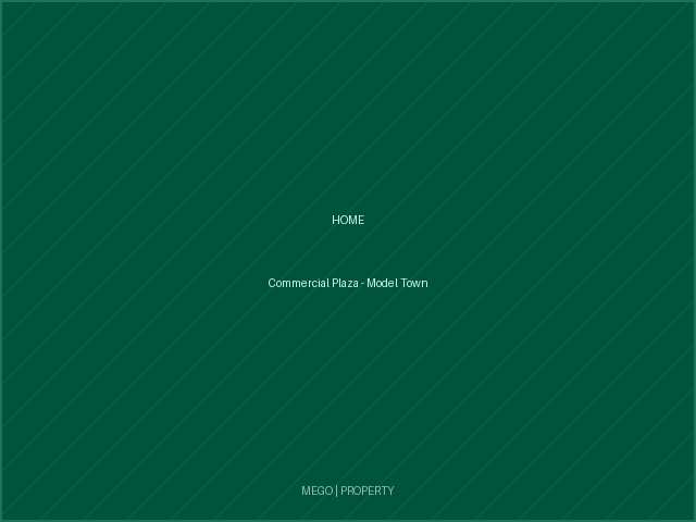 Commercial Plaza - Model Town