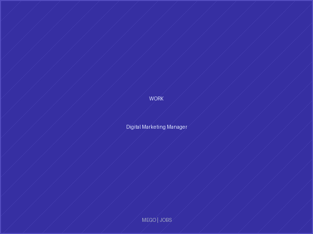 Digital Marketing Manager