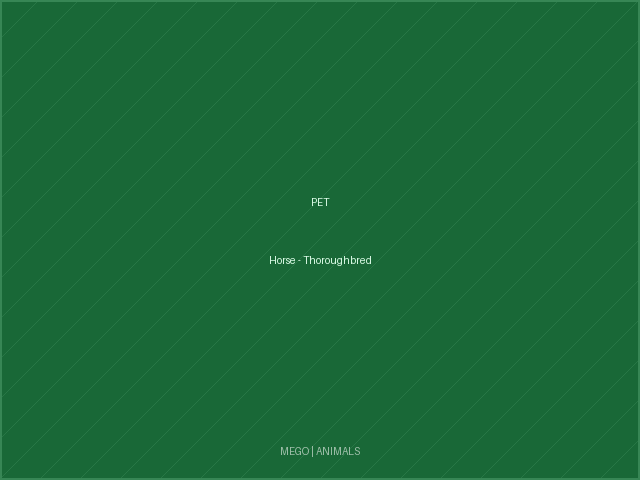 Horse - Thoroughbred