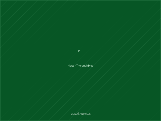 Horse - Thoroughbred