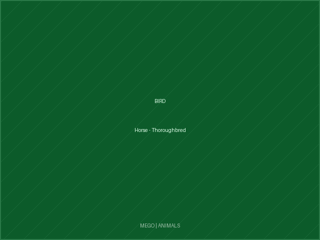 Horse - Thoroughbred