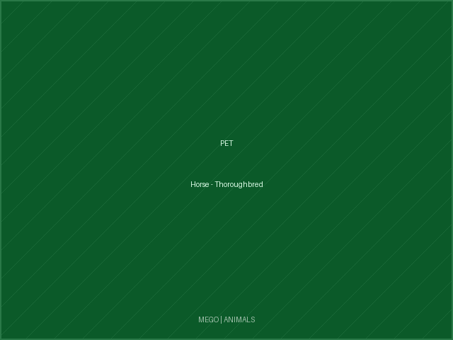 Horse - Thoroughbred