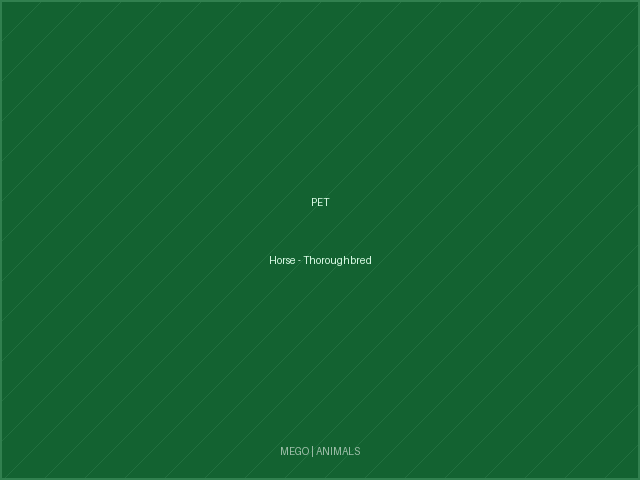 Horse - Thoroughbred