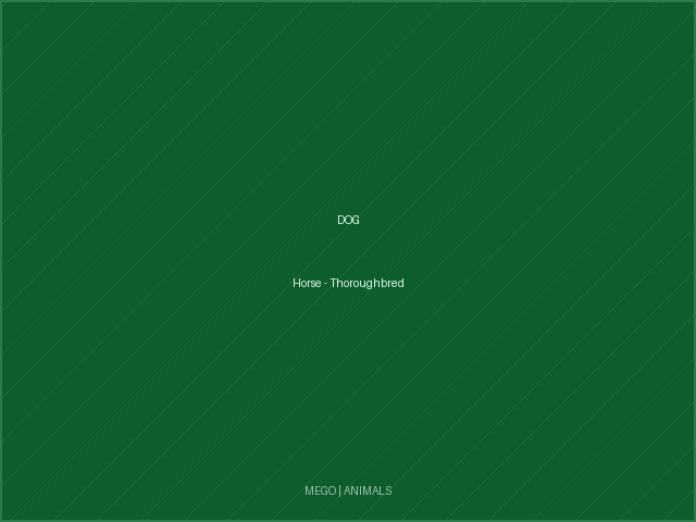 Horse - Thoroughbred